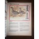 The Hunter's Guide The National Rifle Association