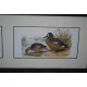 2 Gravures représentant des canards signées en BAS à droite pour 1 par J. Kirk