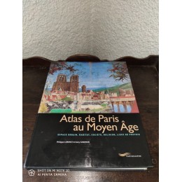 Atlas de Paris au Moyen âge Par philippe Lorentz et dany Sandron