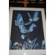 Lithographie par jean Lurçat (1892-1966)  Les papillons   Signée dans la planche