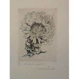 Le chardon argenté par françois Soulas Eau forte numérotée