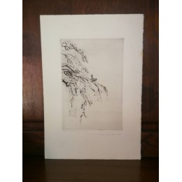 Le petit Oiseau dans la Neige par François Soulas Eau forte épreuve d'artiste